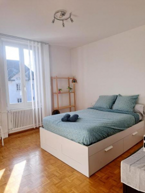 Comfortable 1 bd apt